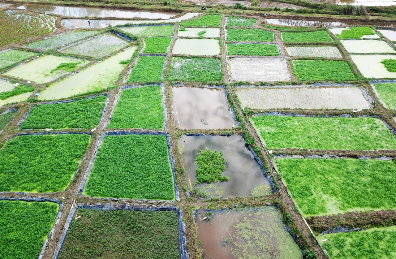 ����360��(�й���)�ٷ���վ